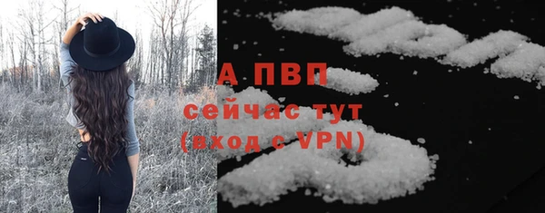 амф Верхний Тагил