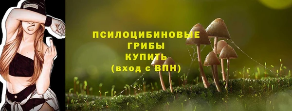 крисы Верхнеуральск