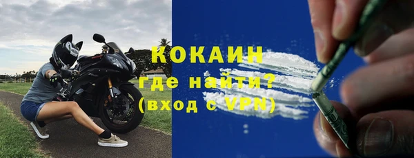 амф Верхний Тагил