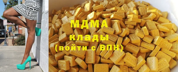 амф Верхний Тагил