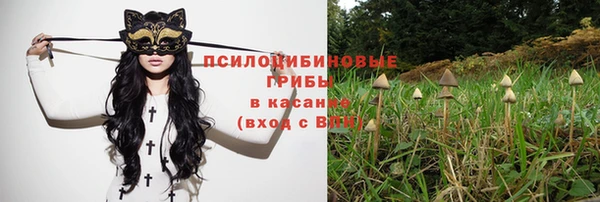 амф Верхний Тагил