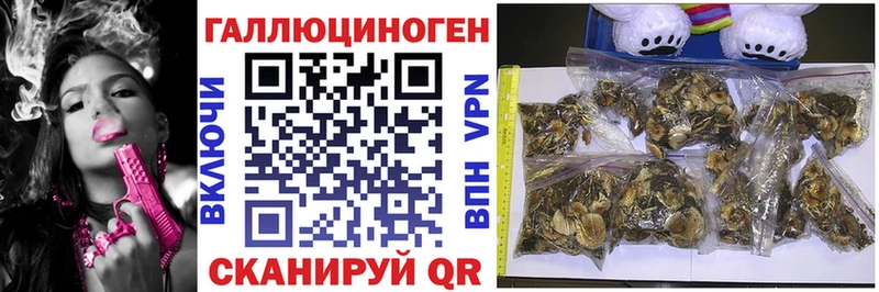Псилоцибиновые грибы мицелий  Сочи 